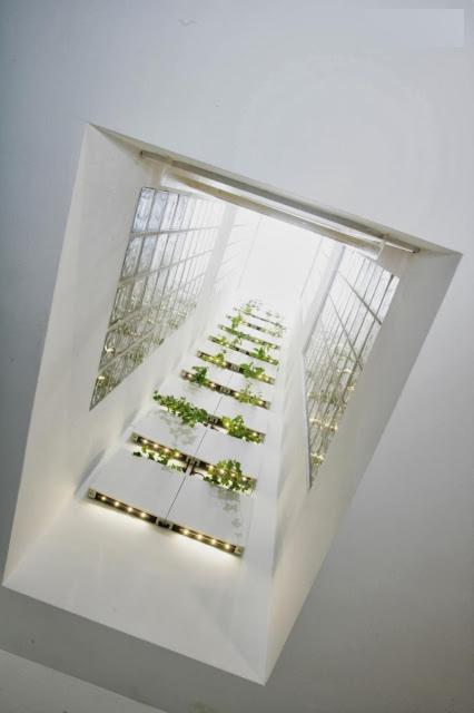 Appartement Wish Palacios Malaver *